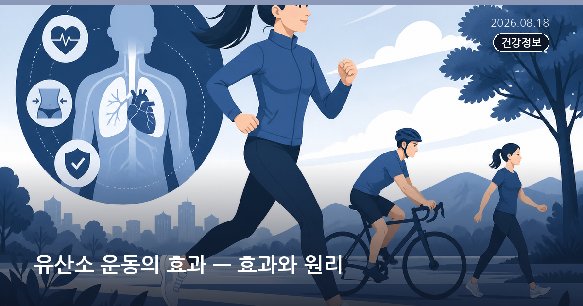 유산소 운동의 효과 — 효과와 원리