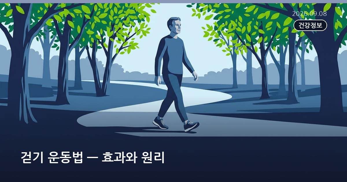 걷기 운동법 — 효과와 원리
